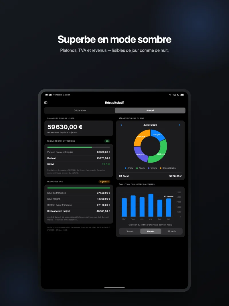 Récapitulatif annuel en mode sombre sur iPad